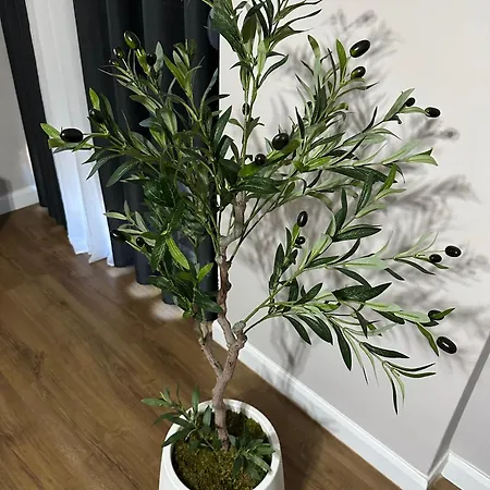 The Newspapers 公寓 地拉那