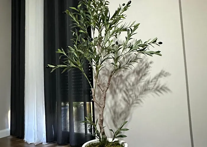 The Newspapers טיראנה