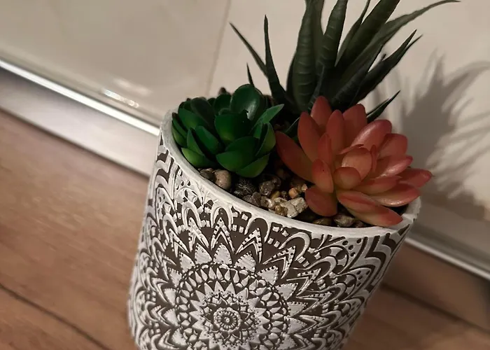 דירה The Newspapers טיראנה