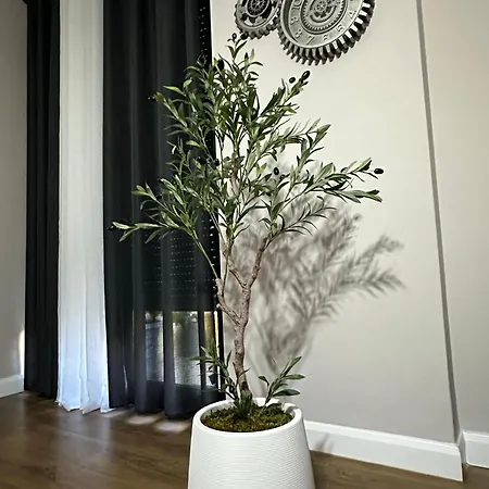 The Newspapers Tirana