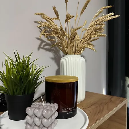 The Newspapers * Tirana