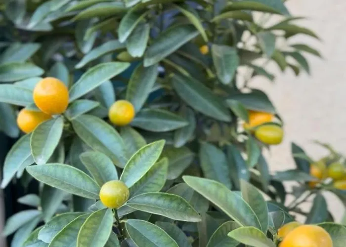 Apartament The Newspapers