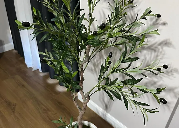 The Newspapers Apartament Tirana