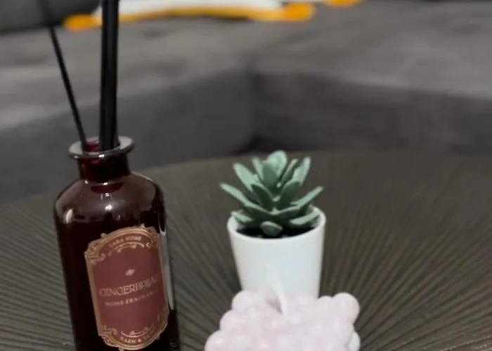 The Newspapers * Tirana