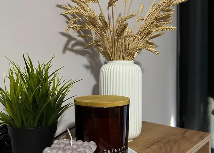 The Newspapers * Tirana